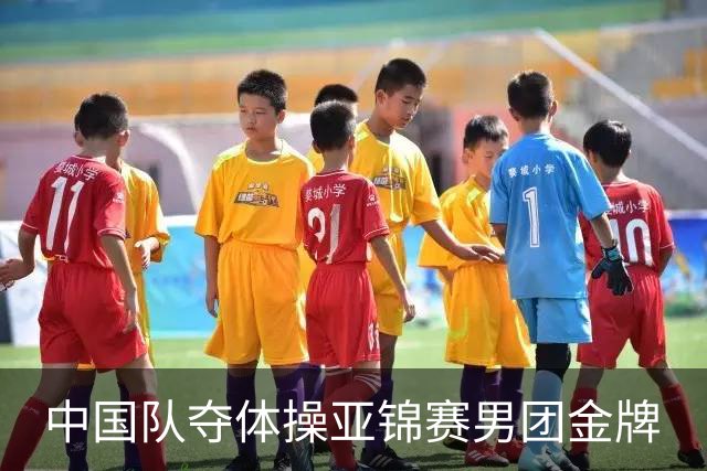 中国队夺体操亚锦赛男团金牌