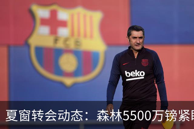 夏窗转会动态：森林5500万镑紧盯赖因德斯，罗马拒绝4队求租瓦斯