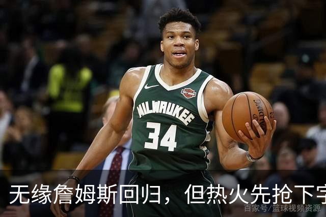无缘詹姆斯回归，但热火先抢下字母哥，莱利：我们还要降落一架飞机