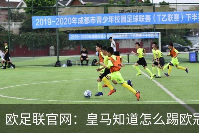 欧足联官网：皇马知道怎么踢欧冠 两位老将贡献大