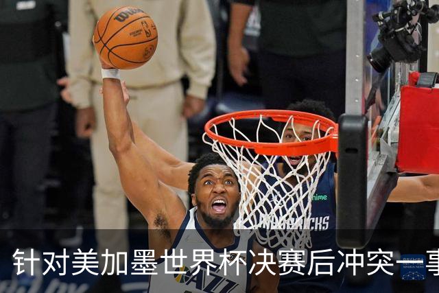 针对美加墨世界杯决赛后冲突一事 国际足联对阿根廷足协启动调查